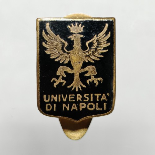 Distintivo spilla università - distintivo,