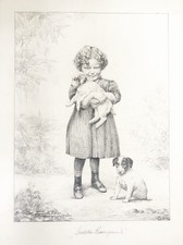 Jack Russel Terrier Cane