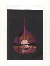 Sacro Fico Asciugare Foglia