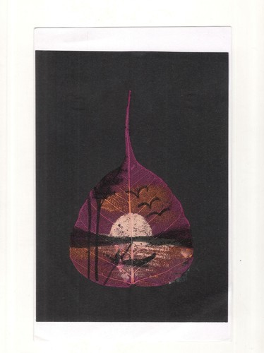 Sacro fico asciugare foglia - sacro,