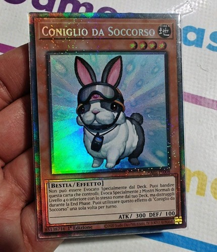 Coniglio soccorso rescue - coniglio, da