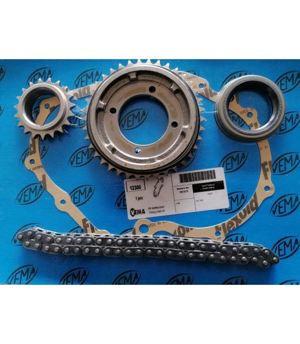 Vema 12300 kit catena - kit,