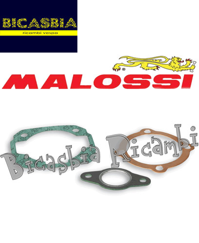 14782 guarnizioni malossi - guarnizioni,
