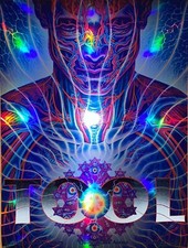 Tool Poster Sydney Australia Qudos Bank 2020 Alex Grey /500 tour concerto!!
