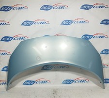 Cofano anteriore celeste