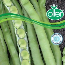 FAVA OLTER  VERDE 1 KG