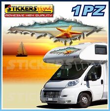 Adesivo per camper STELLA MARINA cm 130x46 adesivi effetto strappo per camper