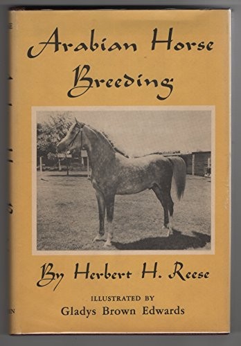 Arabian horse breeding - arabian,