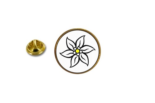 Spilla pin badge - pin, in