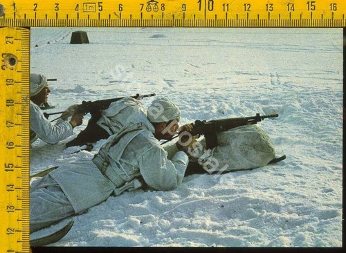 Cartolina militare alpini - cartolina,