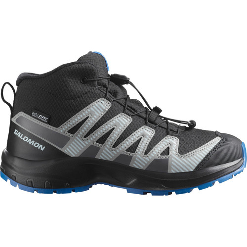 Salomon pro mid - v8, wp