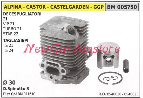 Cilindro pistone segmenti