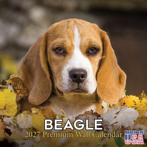 Beagle 2027 calendario - 2027, da