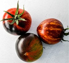 30 SEMI DI POMODORO REGINA