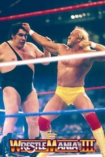 POSTER WWE GIGANTE 24”x36”