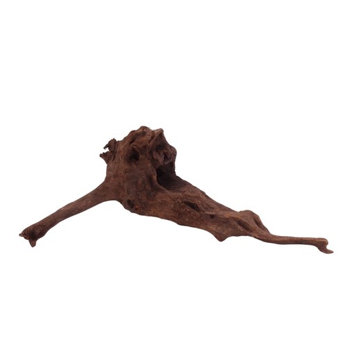 Driftwood flußwurzel radice - l,