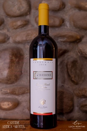 Brione annata 2021 bianco - annata,