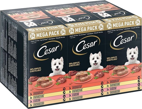 Cesar mangime umido per - , cani