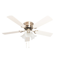 Ventilatore da Soffitto Con