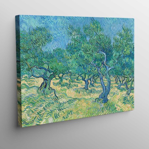 Quadro tela uliveto - quadro, di