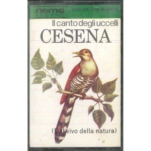 Canto degli uccelli - canto,