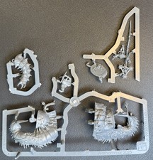 Belga the Cystwitch Scions