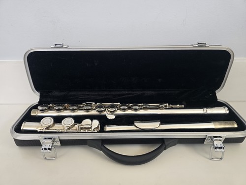 Flauto zhao 220 image - zhao, dz-220
