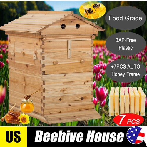 Capannone auto honey bee - 7,