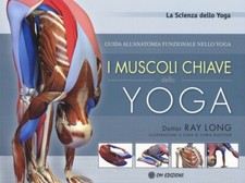 I Muscoli Chiave dello Yoga