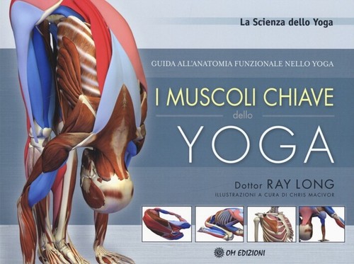 Muscoli chiave dello - muscoli,