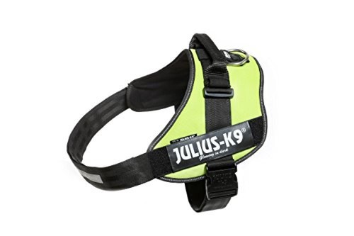 Julius idc - (tg.,
