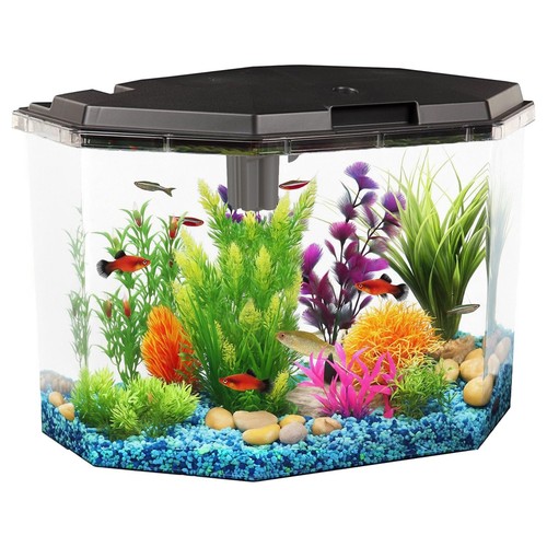 Koller products kit acquario - koller,