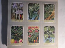 CHROMOS LIEBIG - s�rie n�1577 complete  1953 Les epices