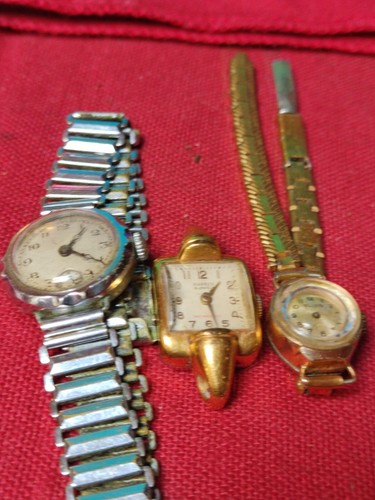 Lanco wrist watches for - wrist, watches,
