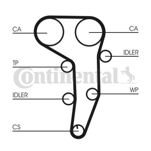 Contitech kit cinghia - kit,
