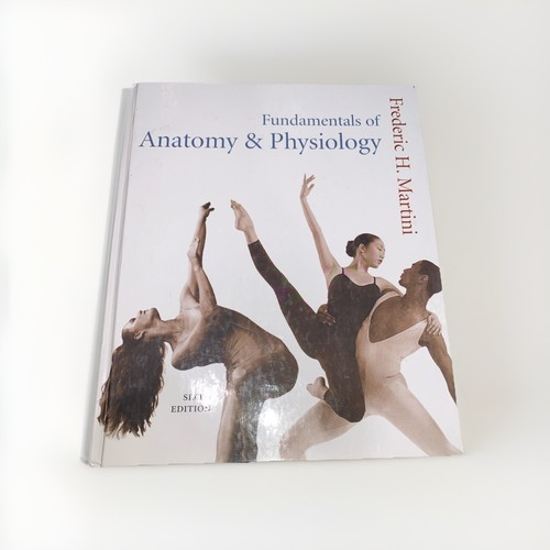 Fundamentals anatomy and - fundamentals,