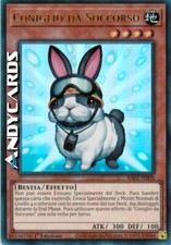 CONIGLIO DA SOCCORSO •