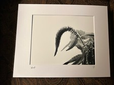 Foto firmata monocromatica