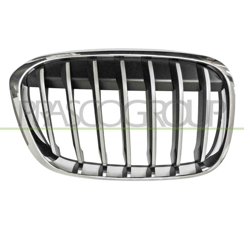 Griglia radiatore destra - griglia, bmw