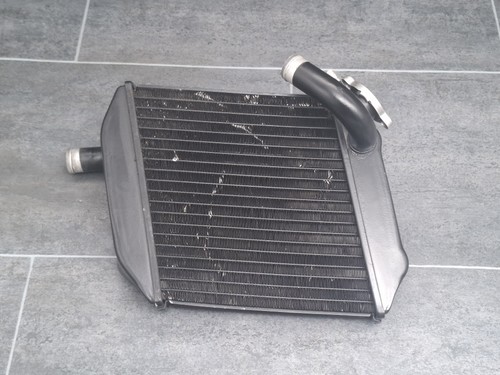 Radiatore buell - (radiatore),