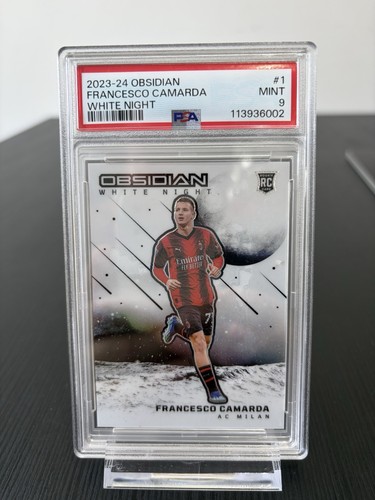 Panini obsidian - panini,