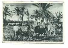 ITALIE  LIBIA ITALIANA MERCATO
