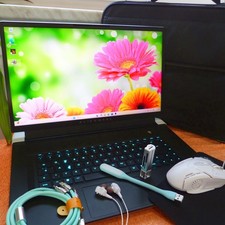 Alienware M17 R6 17 Pollici