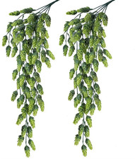 2 Pezzi Di Luppolo Artificiale