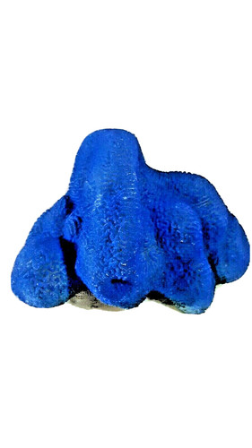 Arredo per acquario pesci - per, in