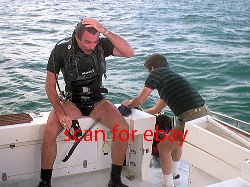 Magnum tom selleck foto - magnum,