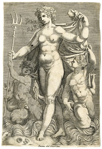 Rara antica stampa - rara-antica,