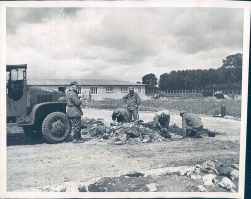 1951 marly forest - 1951,