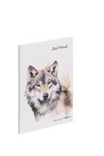 Pagna 20382-15 - Libro degli