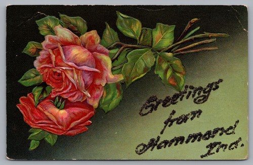 Saluti hammond lettere - da, hammond,